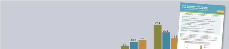 Youth Suicide Report